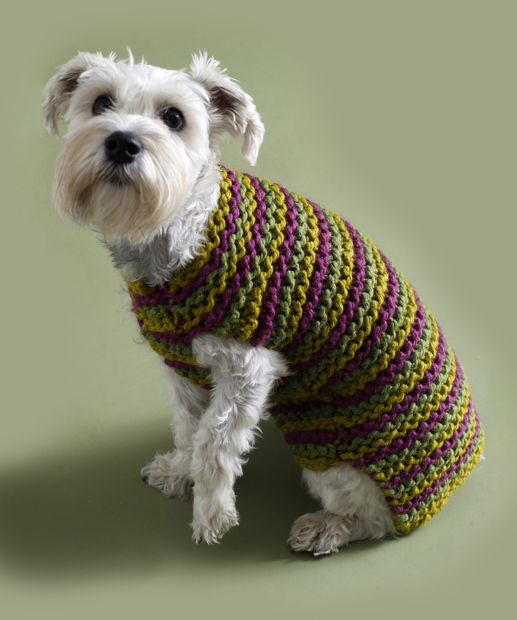 Easy Tips for Crochet Greyhound Sweater Pattern Blog Free Pattern