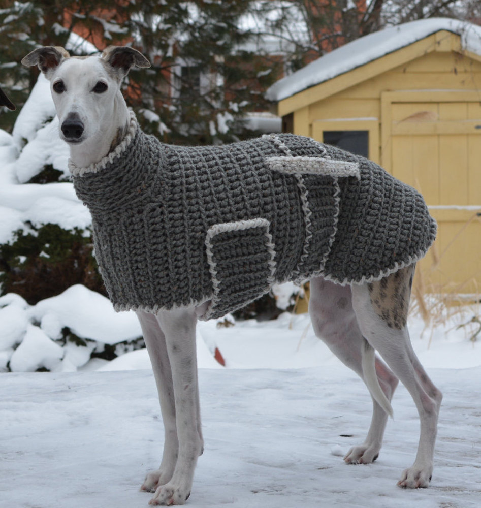 Easy Tips for Crochet Greyhound Sweater Pattern Six Times Greyhounds Wore Sweaters Better Than You Knithacker